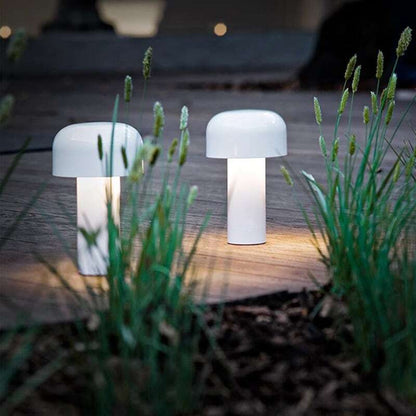 USB Rechargeable LED Cordless Table Lamp |Desk Lamp
